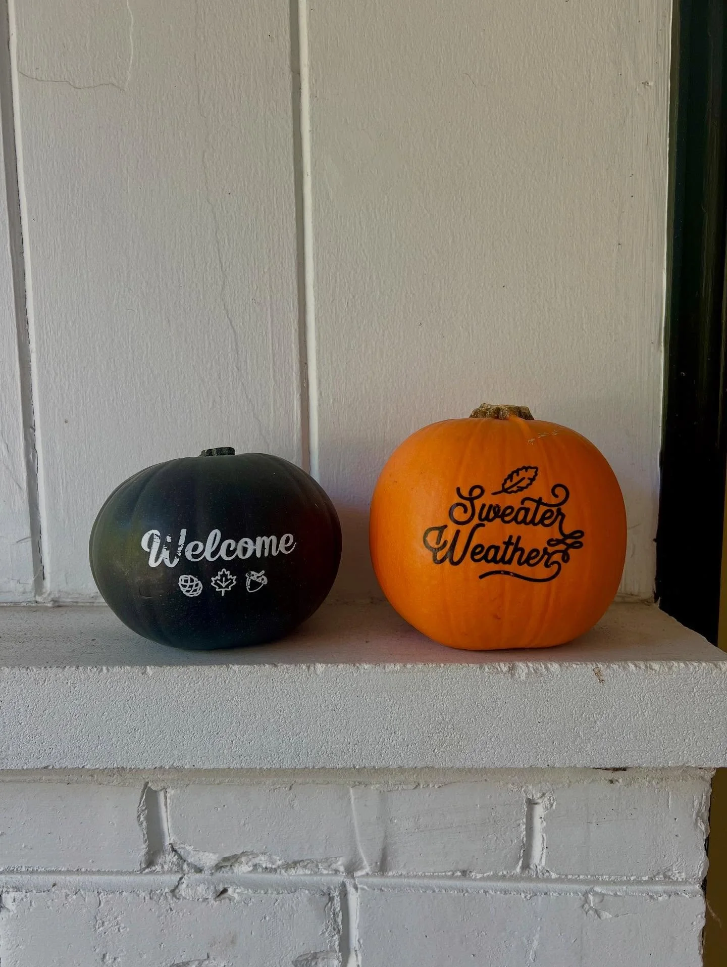 &ldquo;Surprises are the joy of life.&rdquo; &mdash; Socrates {found joy in philosophy} 

Some unexpected joy over the past month 💛

Day No. 3162 My heart lit up spotting festive pumpkins at a different grocery store 

No. 3165 A delightful surprise
