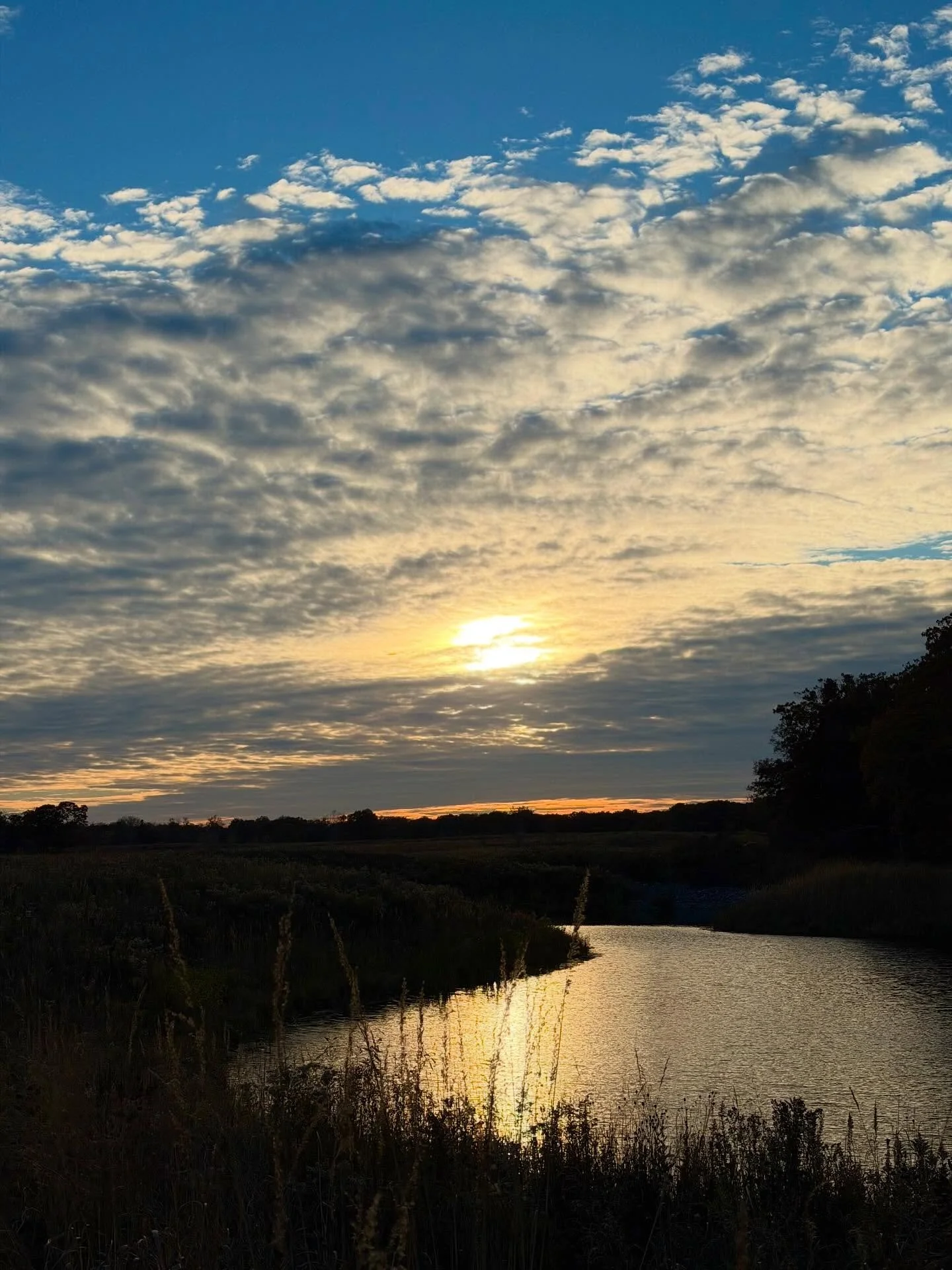 Happy Winter Solstice. A few pictures taken walking my favorite local loop trail this Fall. 

💛🥾🍁🕯️

#joy
#fallwinter