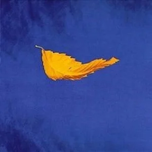 The "True Faith" 12" cover