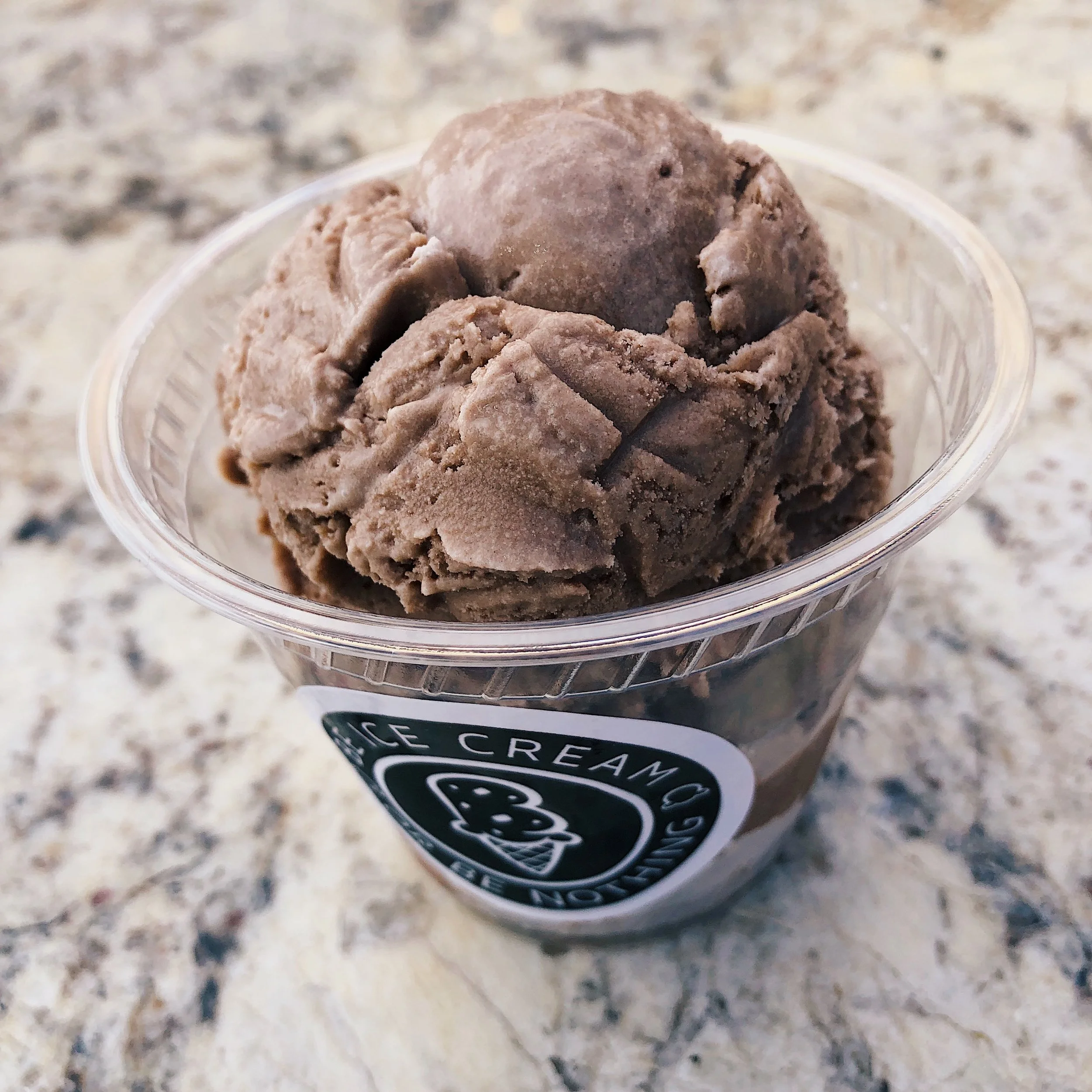 Salted Chocolate Ice Cream