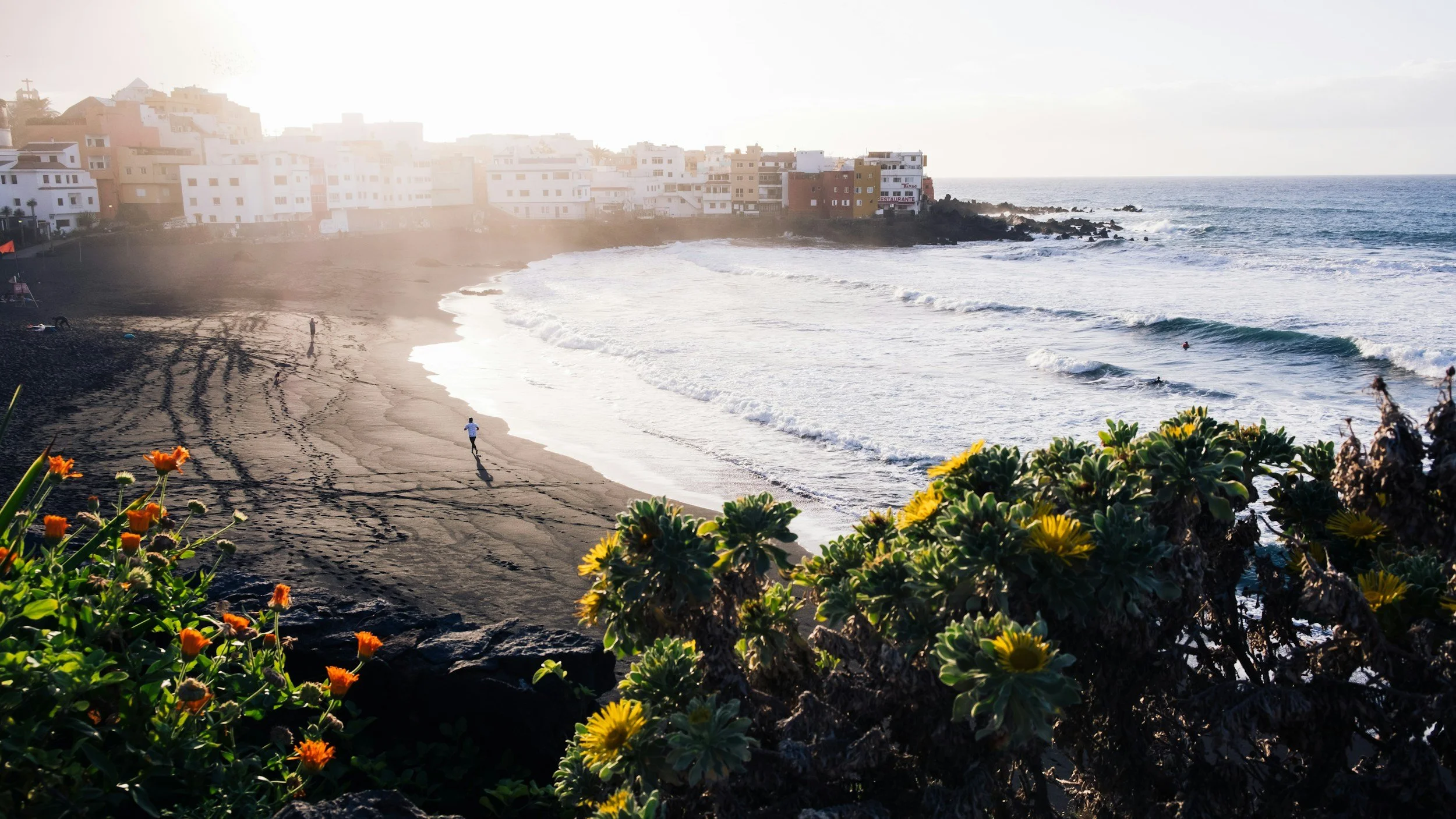Flowers in the Ocean