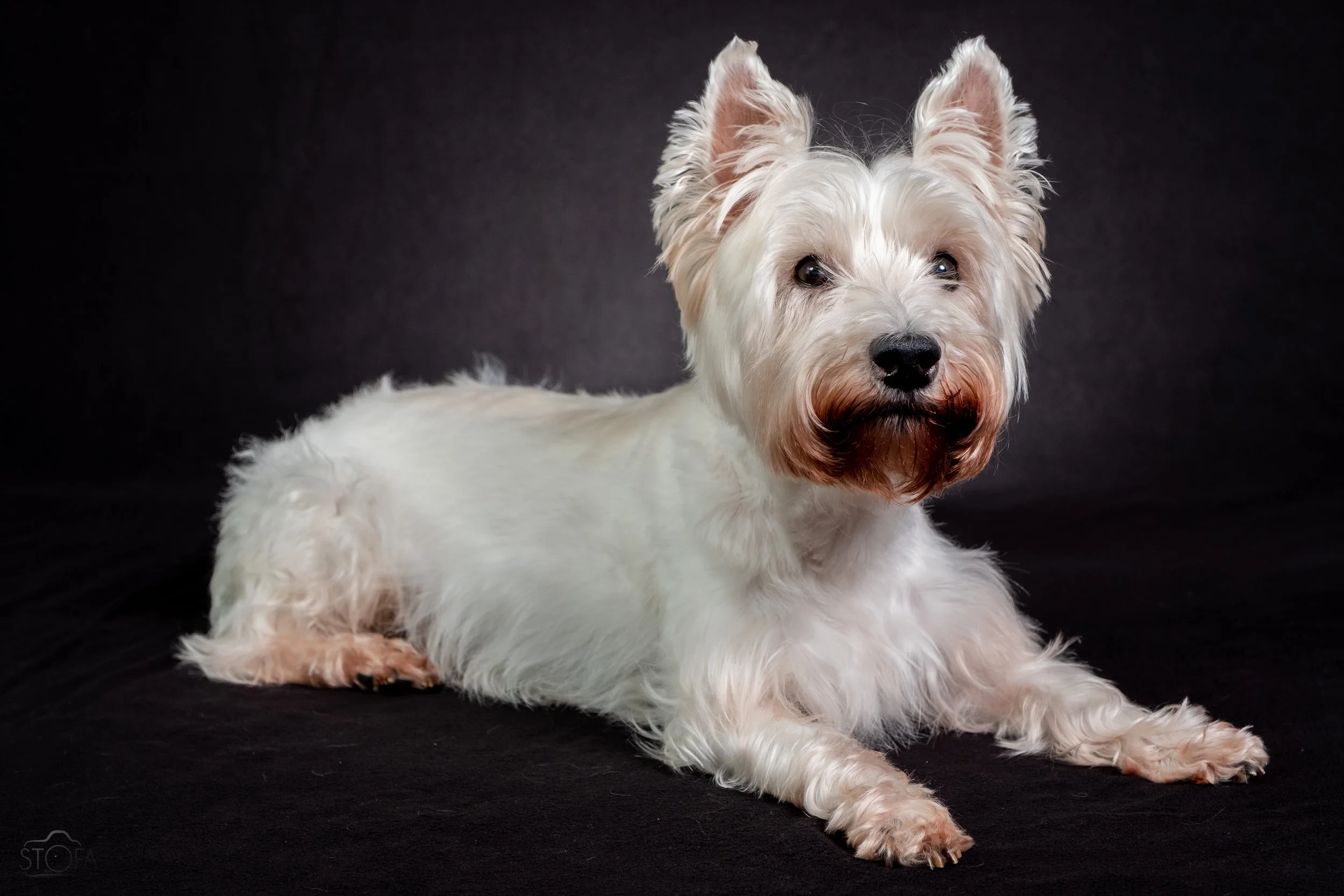 Baxter