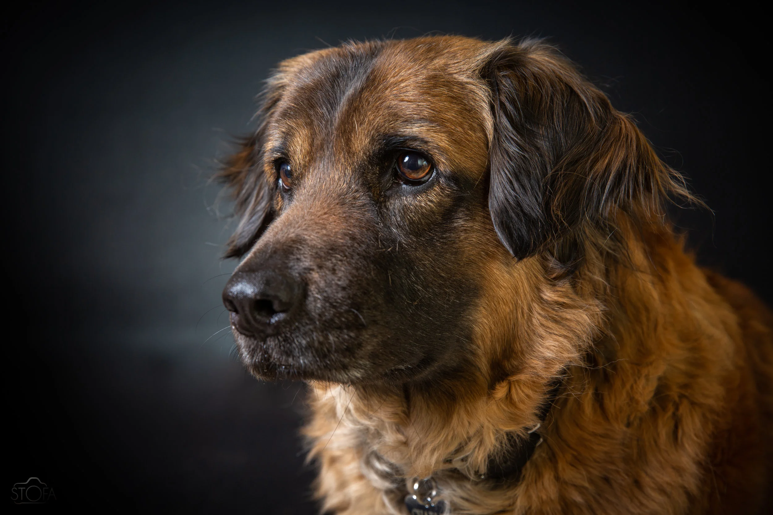 Charlie
