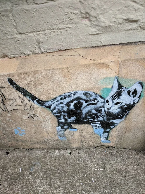 bristol-cat.jpg