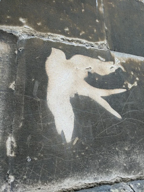 bristol-reverse-bird.jpg