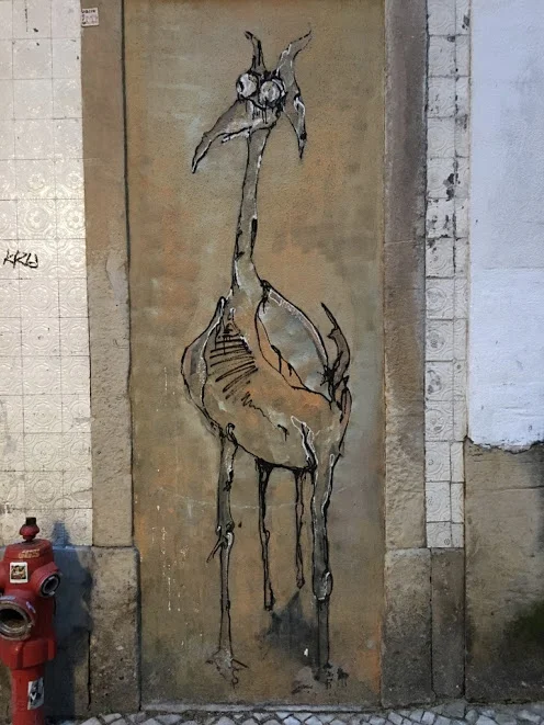lisbon-bird.jpg