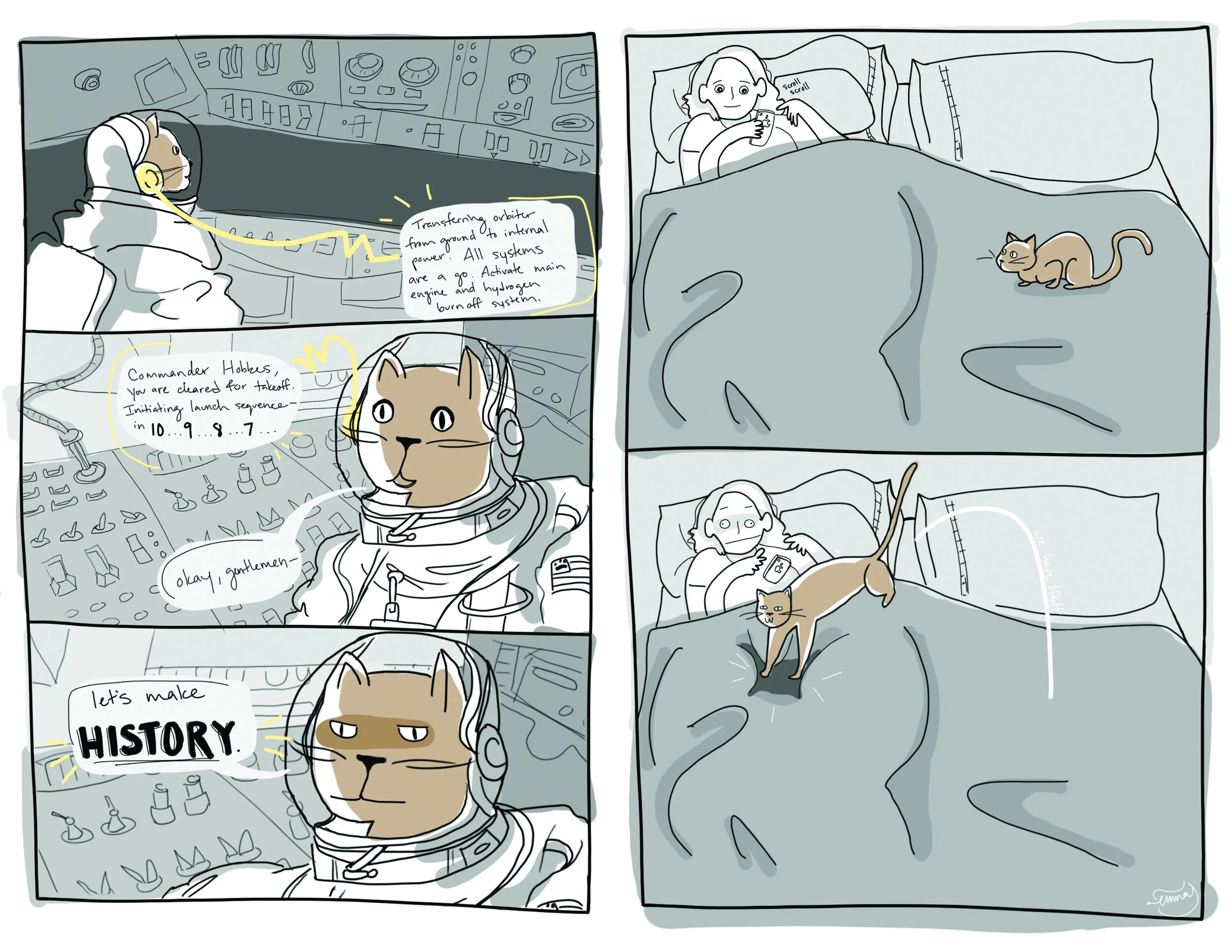 hobbes launch.jpeg