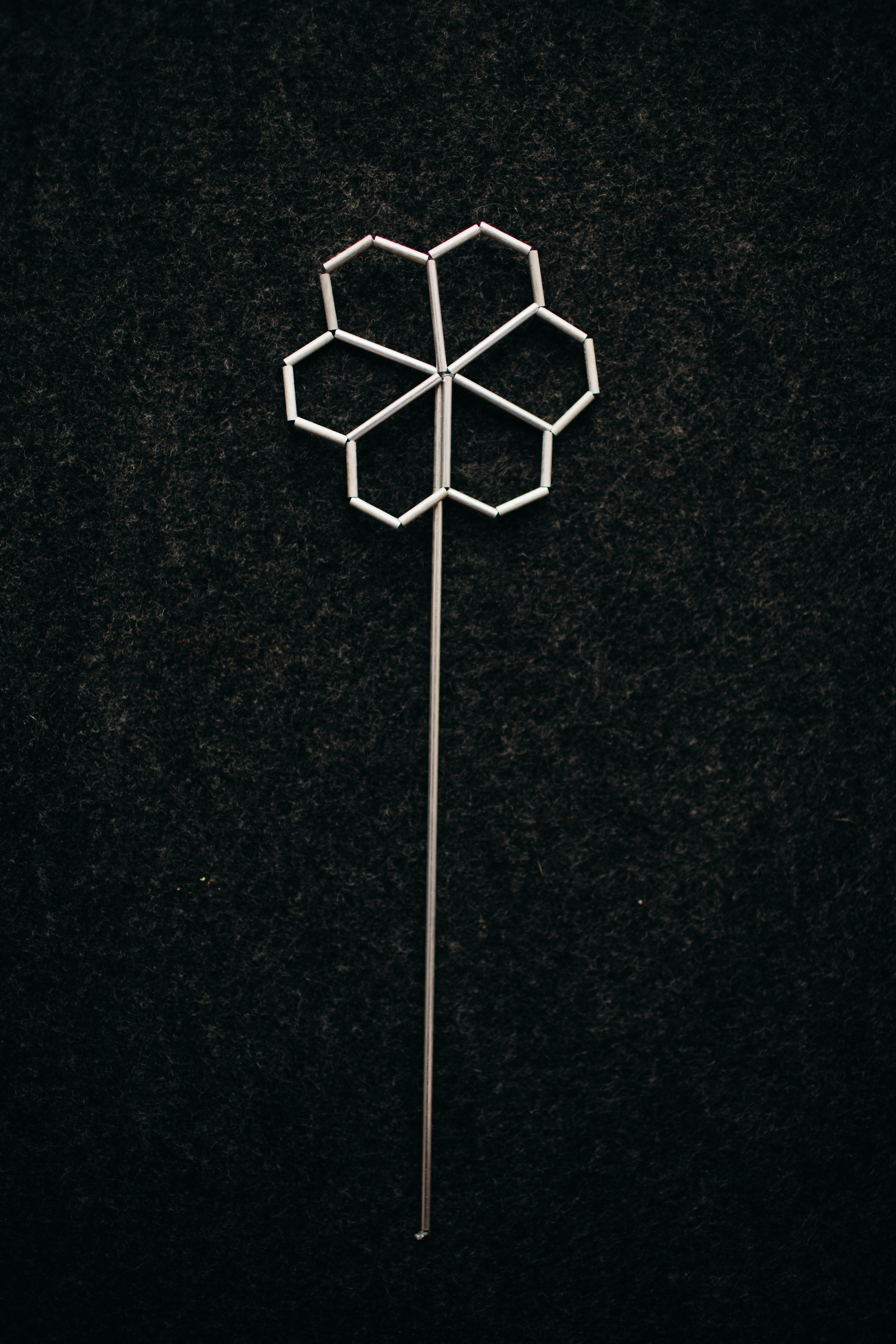 daisy v4 copy.jpg
