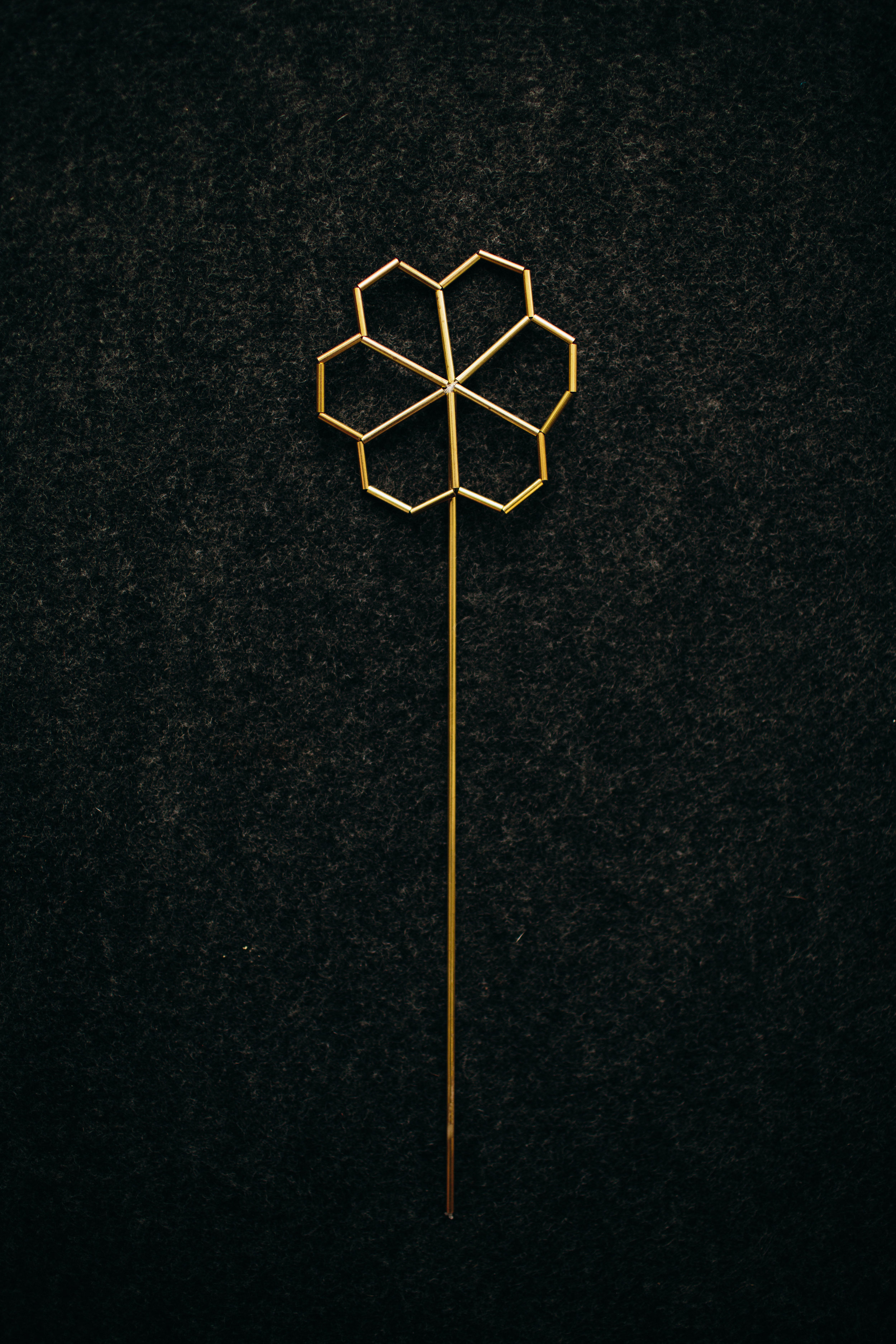 daisy v3 copy.jpg