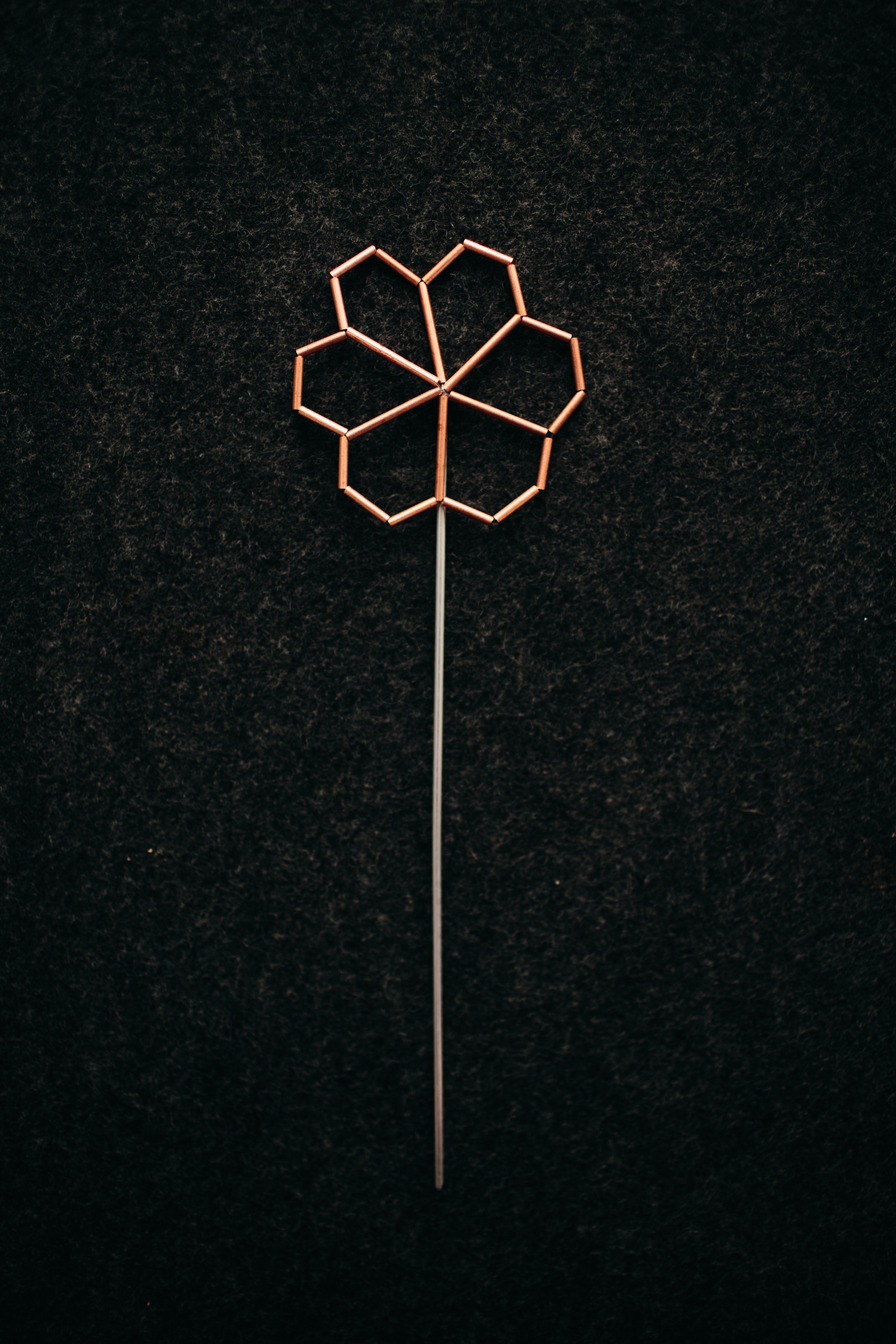 daisy v5 copy.jpg