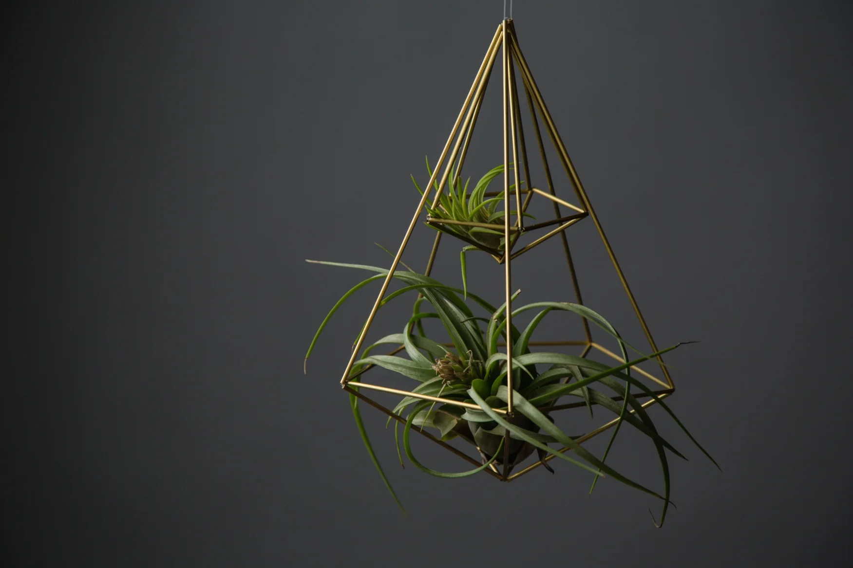NESTLED PLANTER