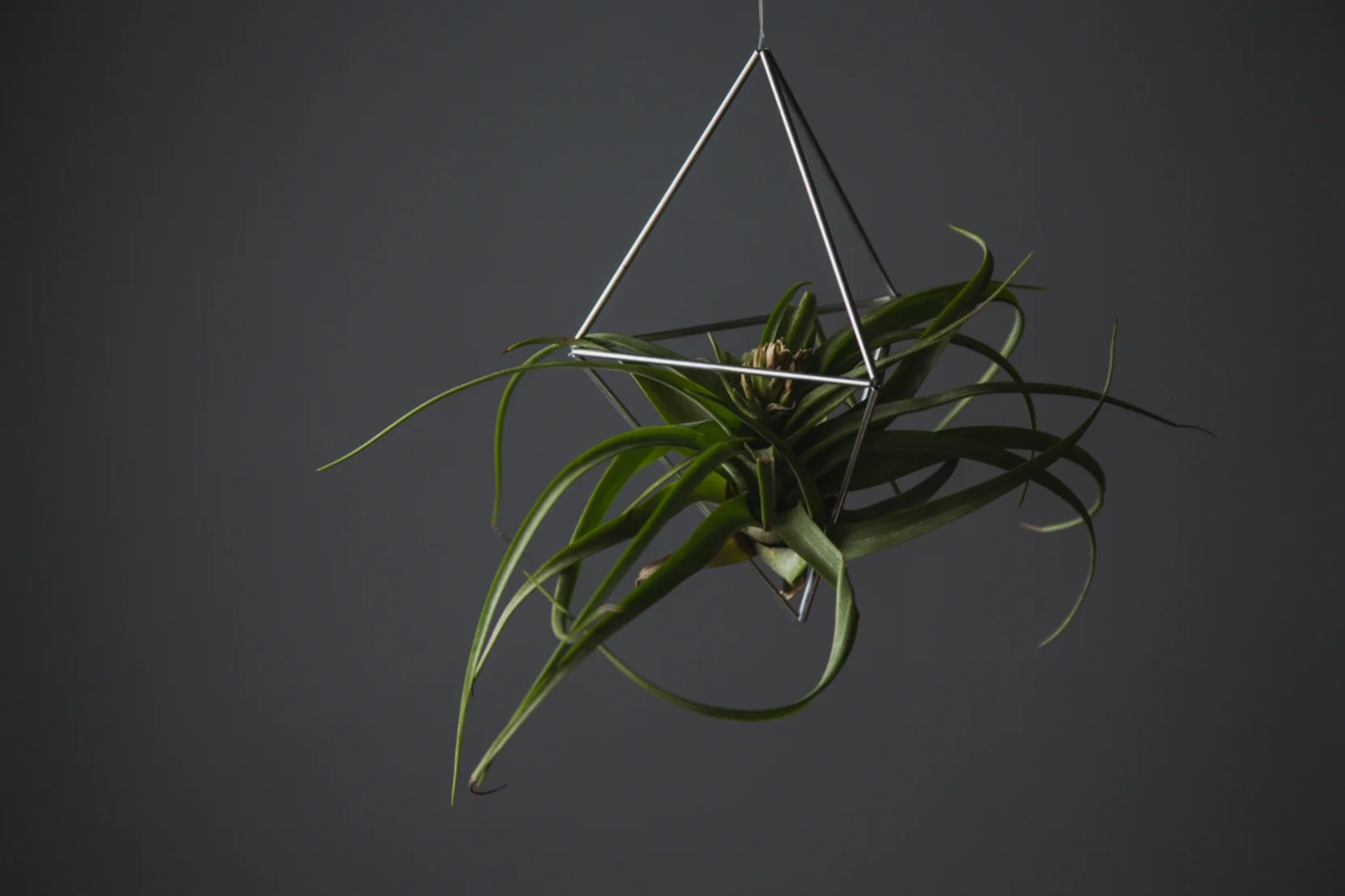 SUSPENDED TRIANGLE