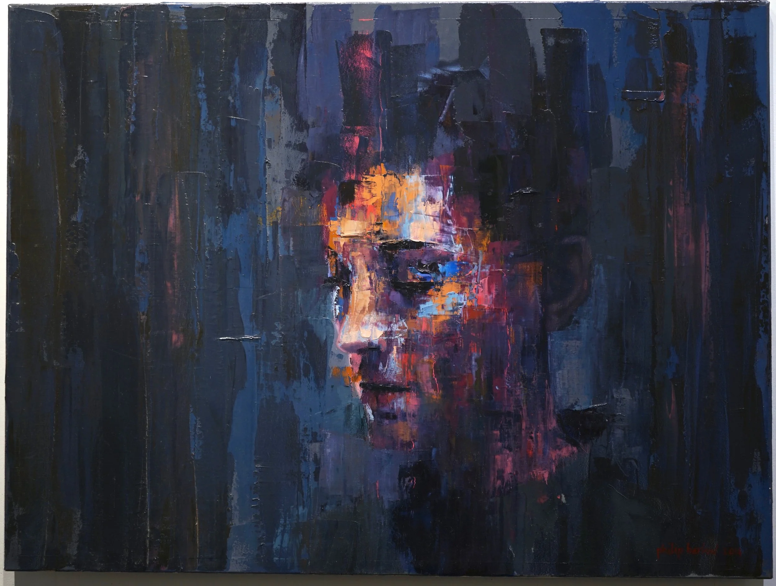 barbs II - 80cm x 120cm, oil on canvas