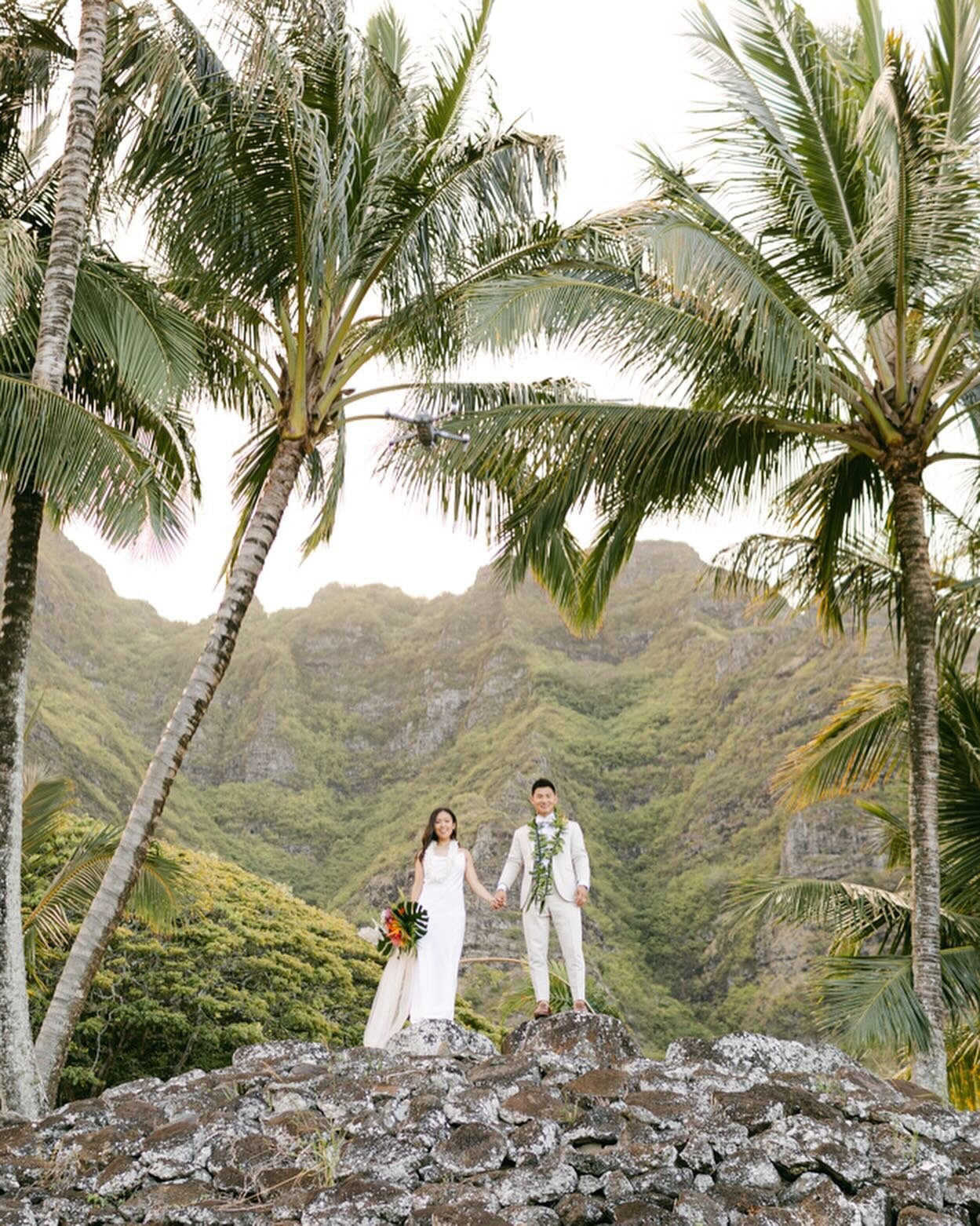 Been dreaming with the Oahu landscape and delicious bites ever since this wedding!! Hawaii is by far one of the most beautiful destinations I&rsquo;ve traveled to for work and hoping to be back soon 💖. 

.
.
.
.
#oahuweddingphotographer #hawaiiweddi