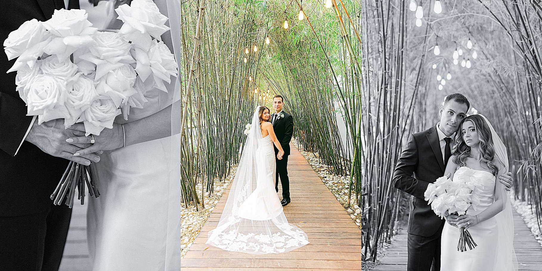 Zulie Rego Photography-48.jpg