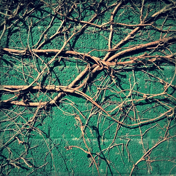 What the hell is wrong with me?