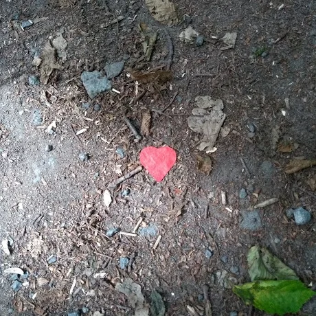 The secret of love – in brief