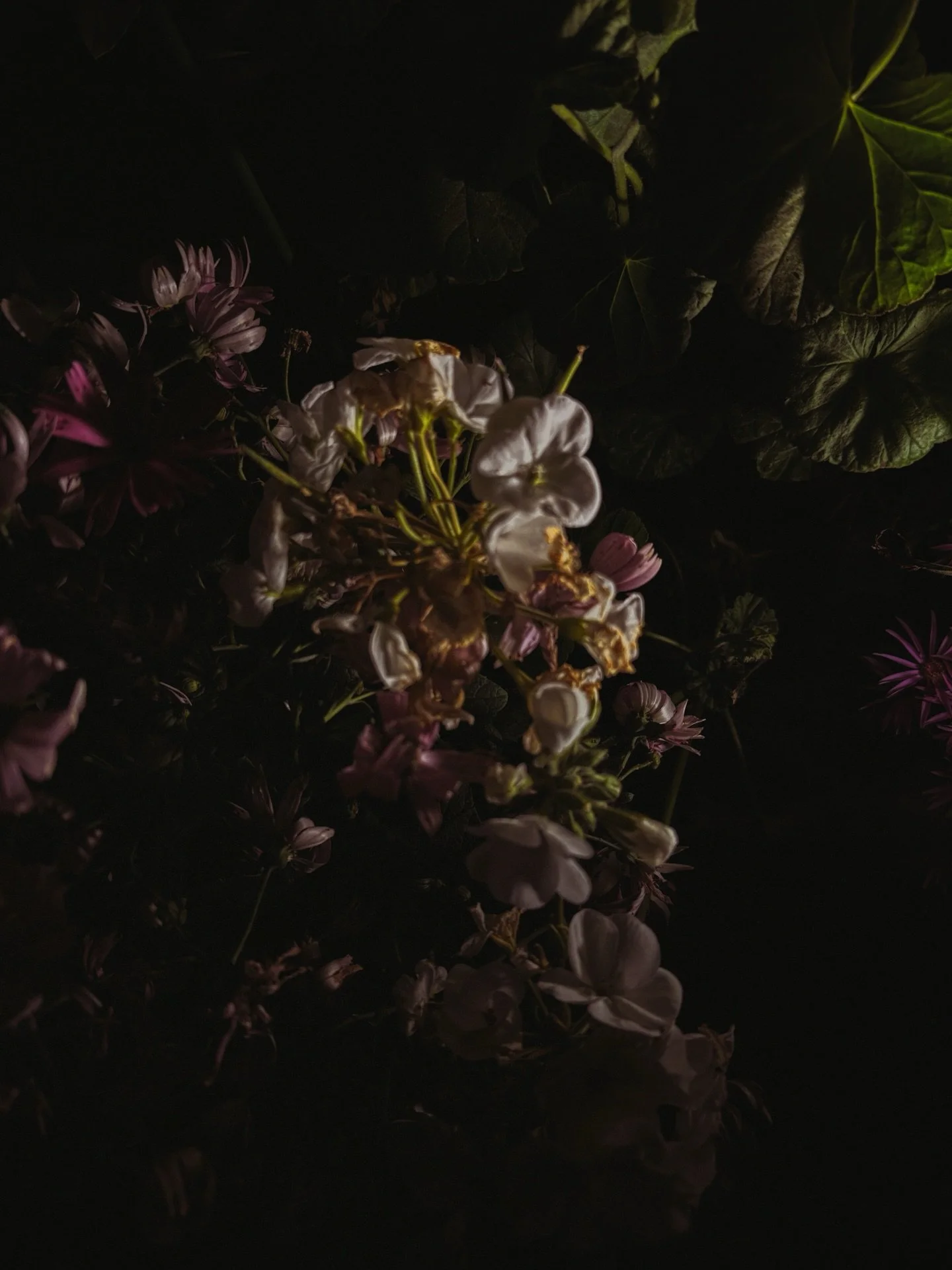 A dreamy evening as a local tourist. #singapore