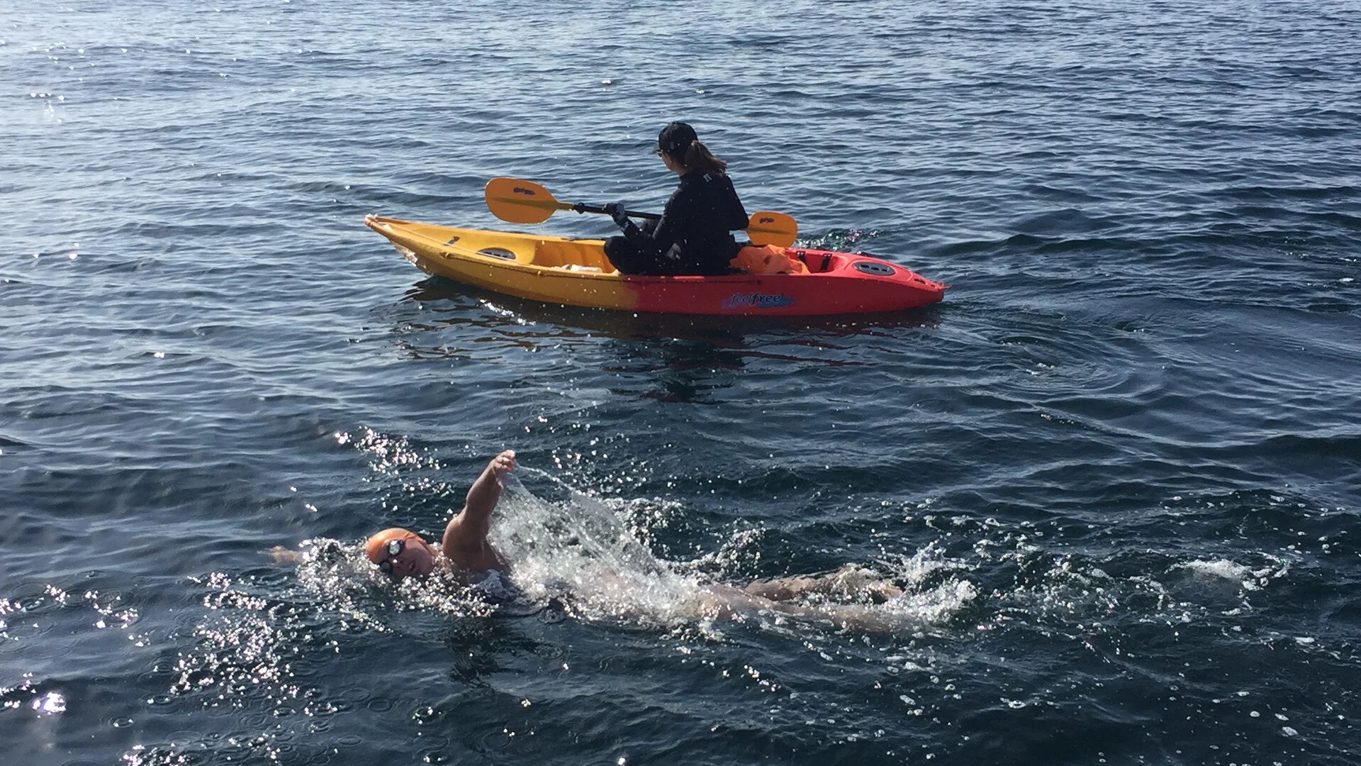 Abby with Maddy swimming 2016.jpg