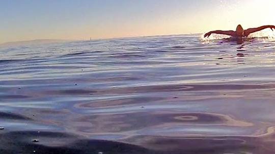 Abby swimming fly in open water 12302017.jpg
