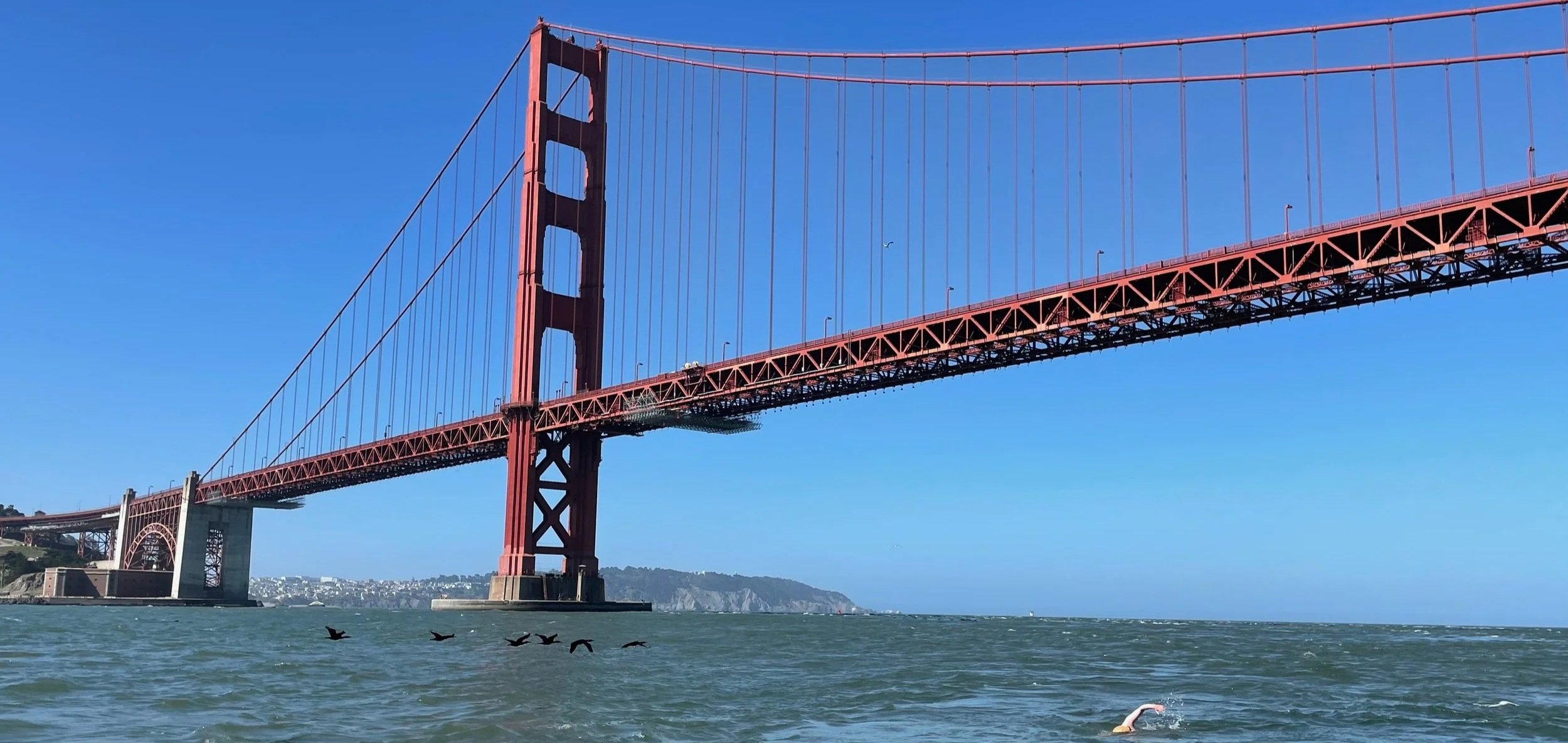 Abby+under+Golden+Gate+Bridge.jpg