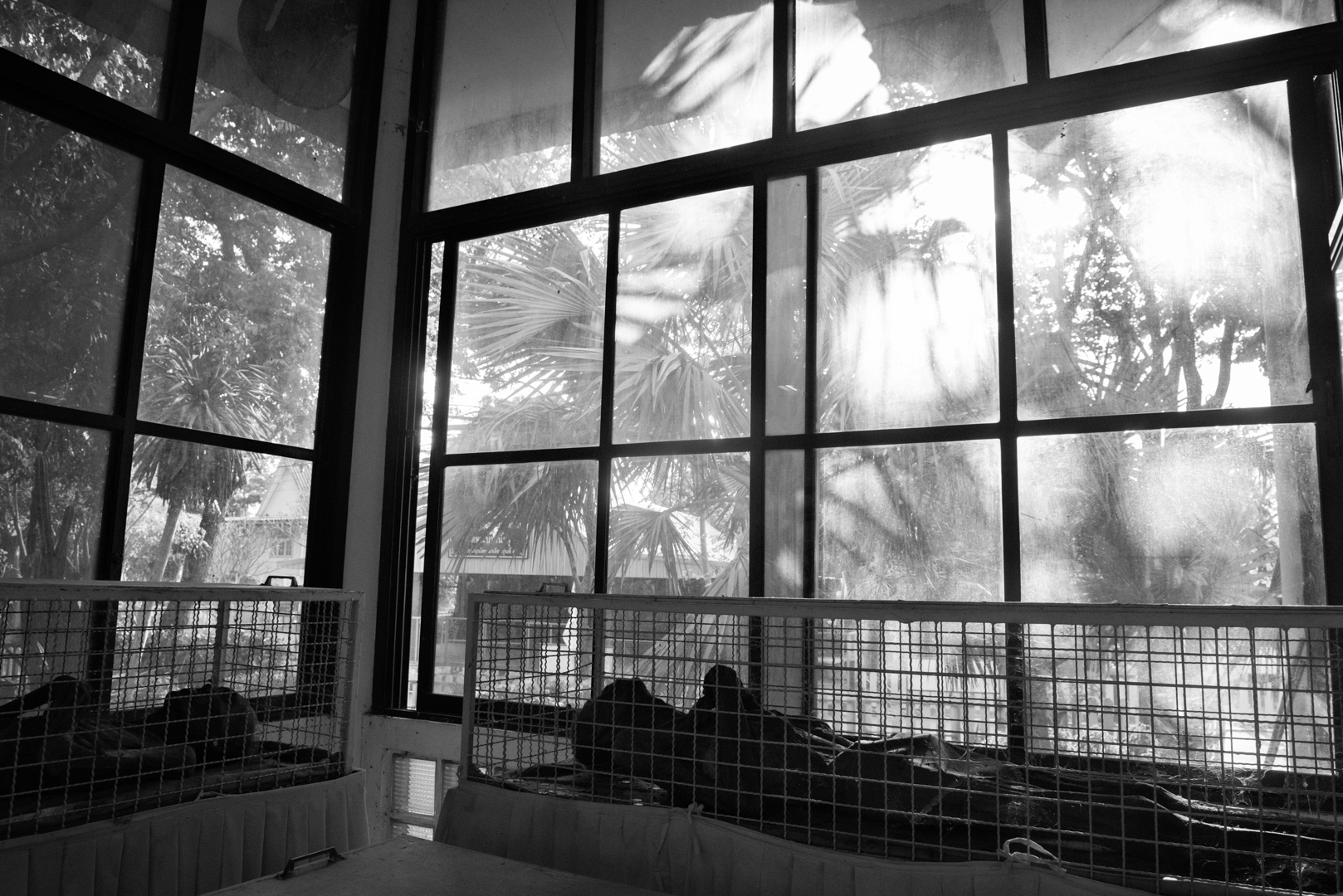 _DSC0574(SH).jpg