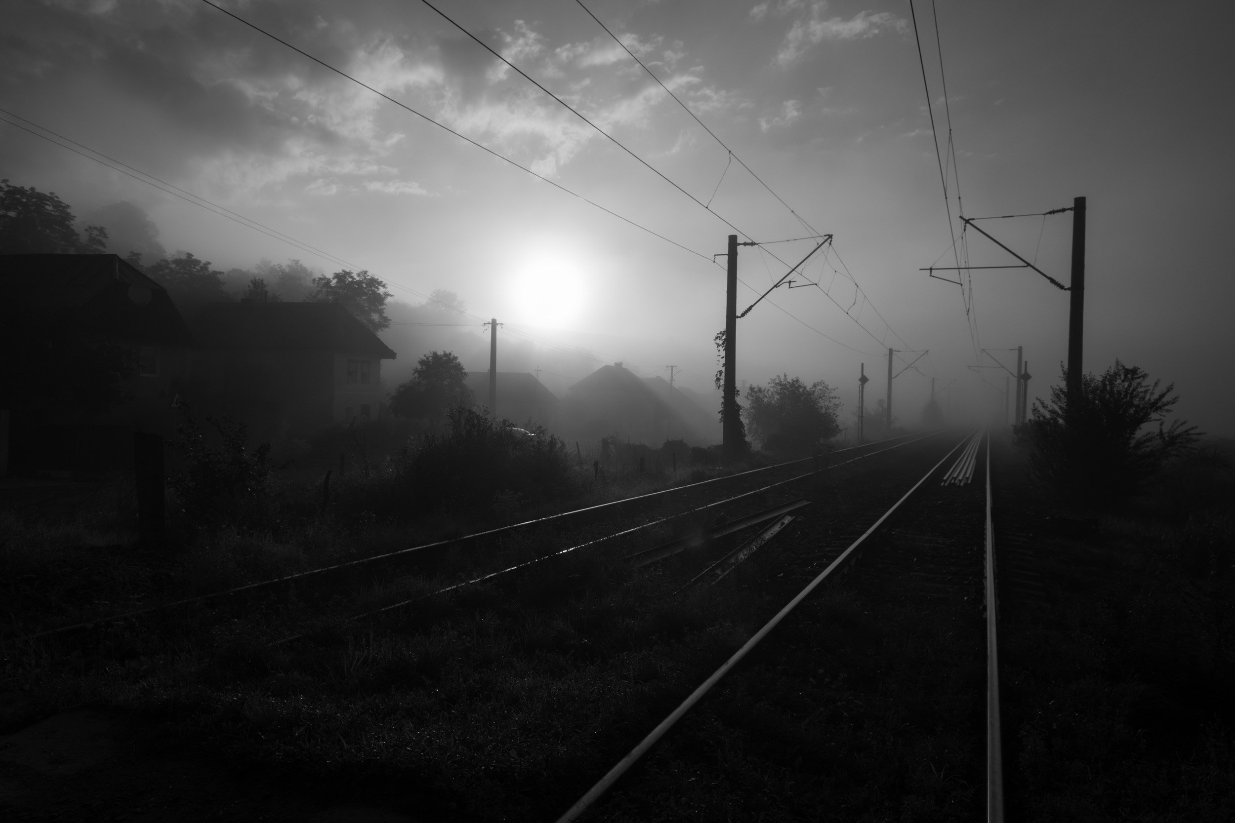 DSC_4229-Edit(SH).jpg