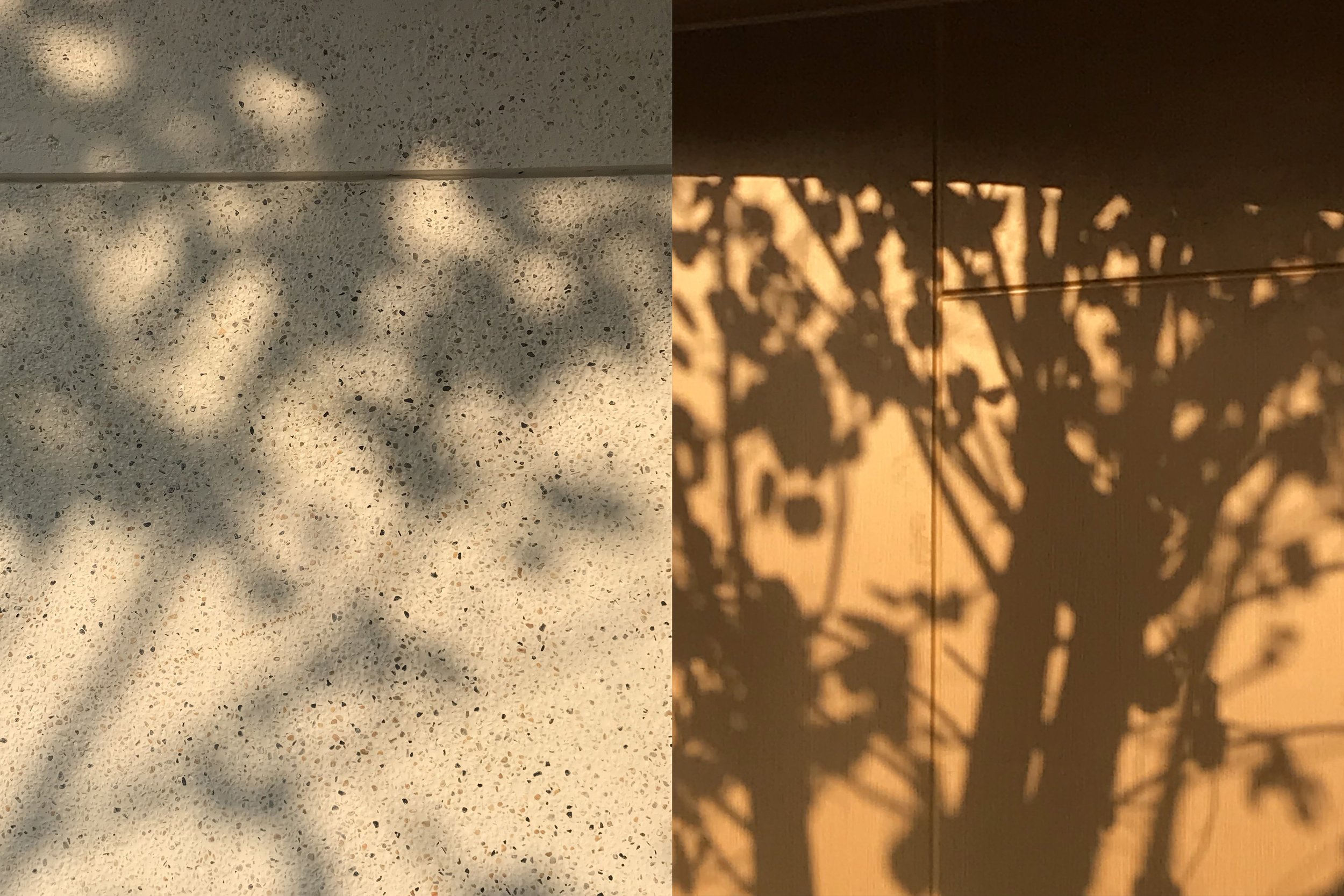 shadow on the wall @ATELIER XI.jpg