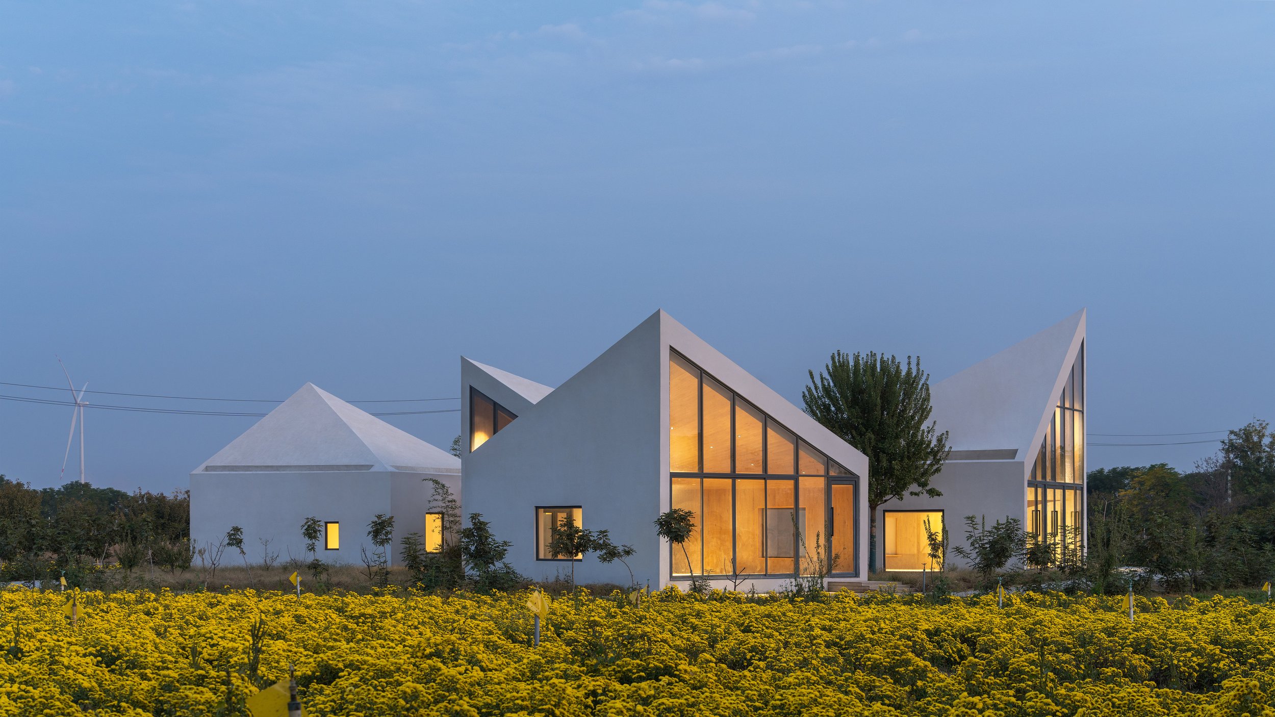 Library in Chrysanthemum Field @Zhang Chao (11).jpg