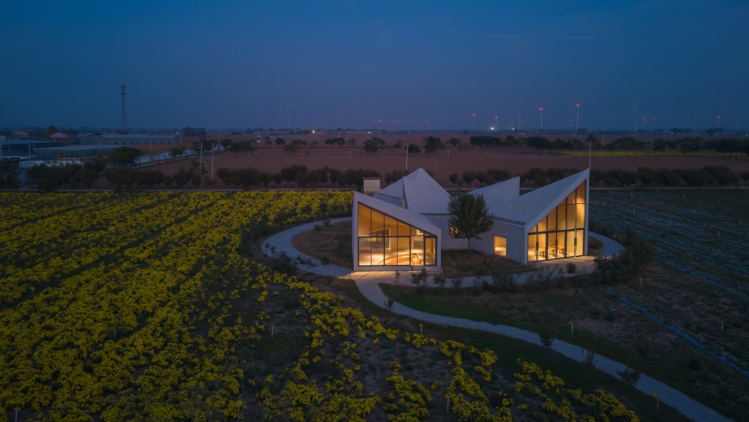 Library in Chrysanthemum Field @Zhang Chao (13).jpg