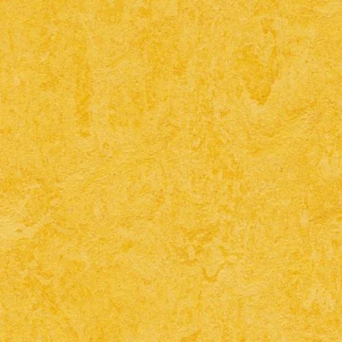 333251-lemon-zest-500.jpg