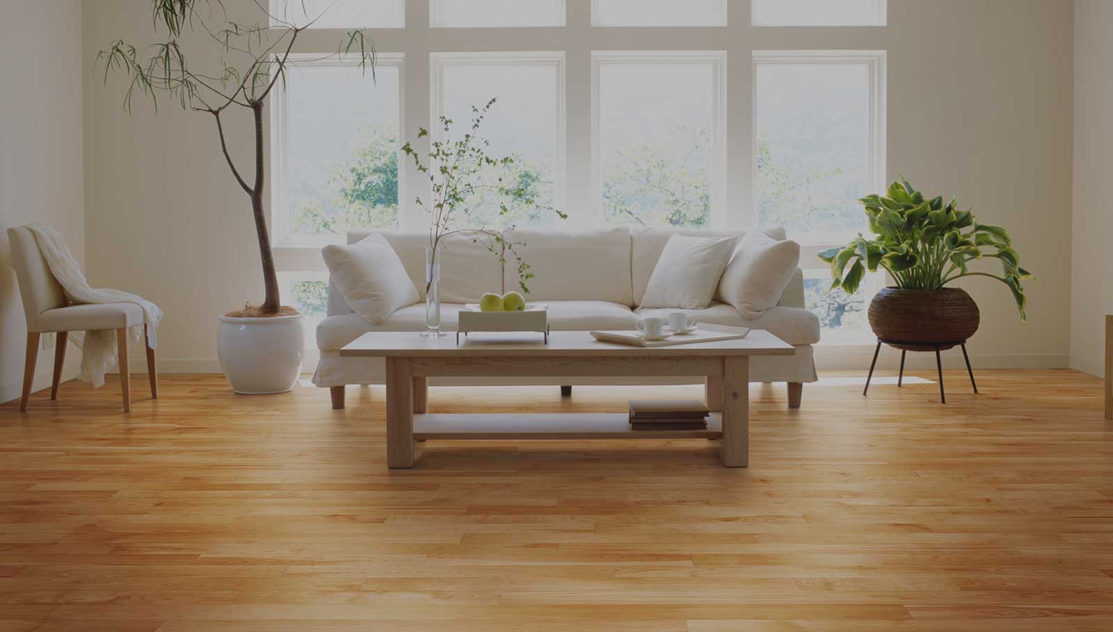 Solid Wood Banner 2.jpg