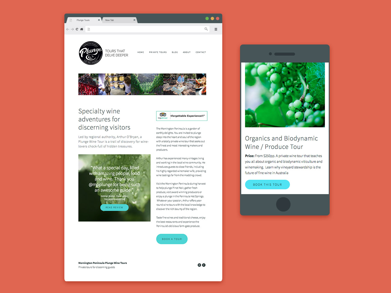 Website Design