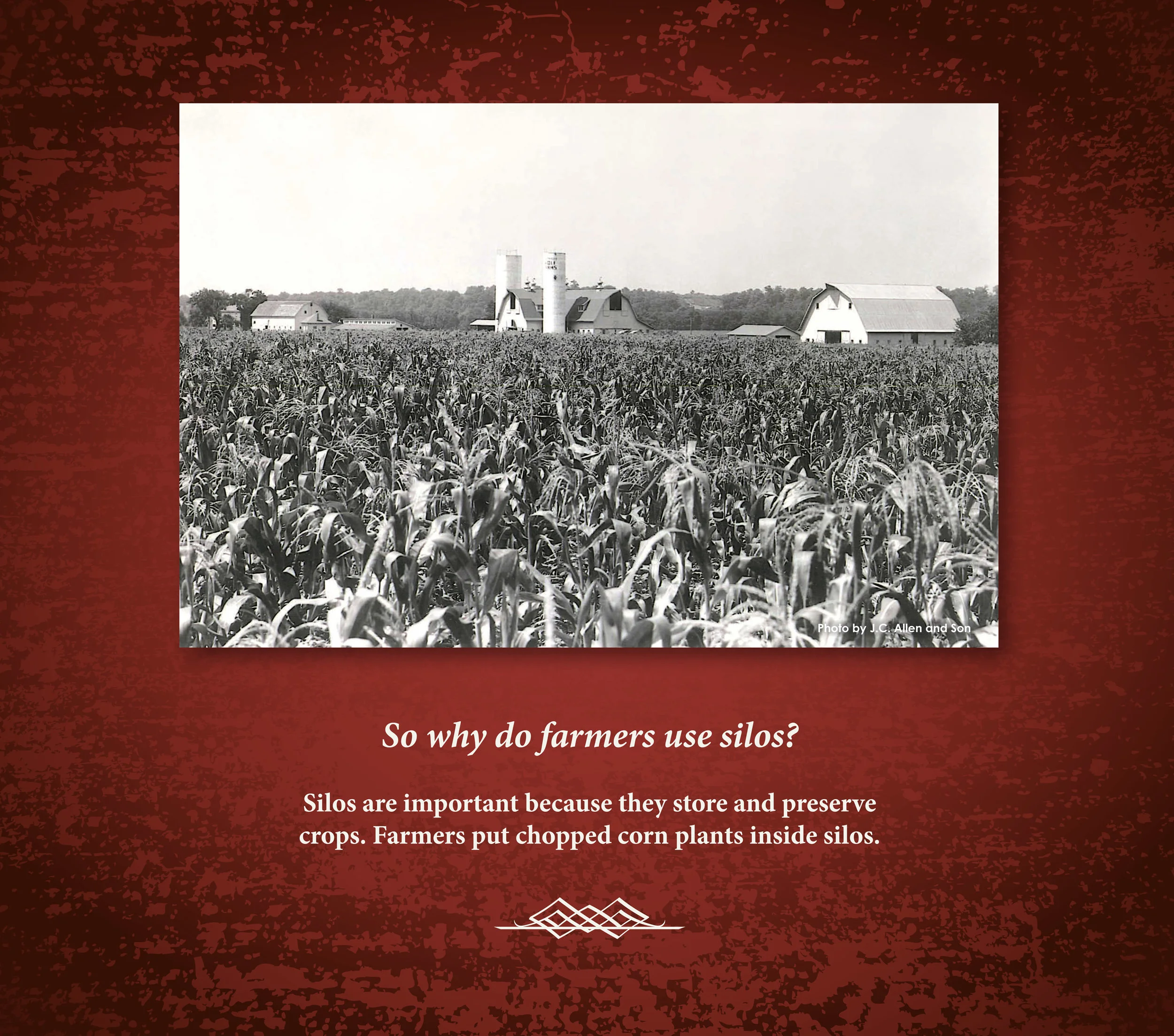 Why Use Silos.jpg