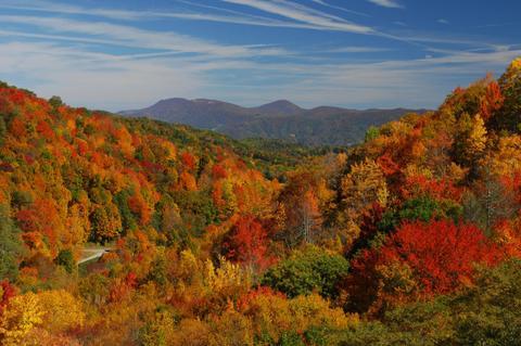 boone fall picture.jpg