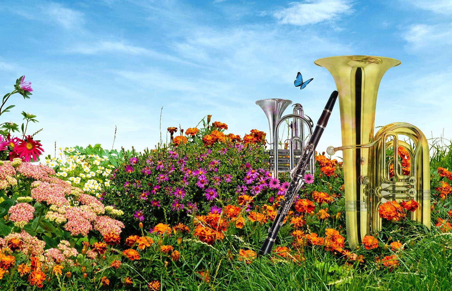 Summer Bands in Leeds Parks ~ Leeds