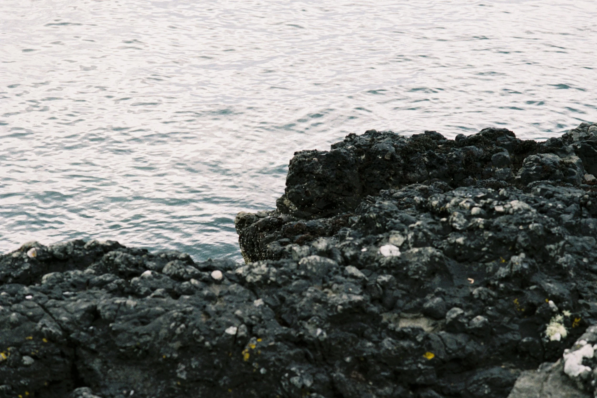 Shot Silk ~ Glasgow, Scotland