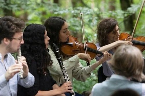 Orchestra for the Earth - Haydn and Haas ~ Peckham Rye, London  