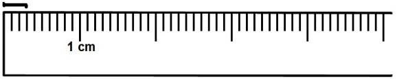 Using A Metric Ruler Centimeters And Millimeter