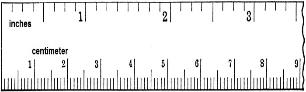 free printable rulers