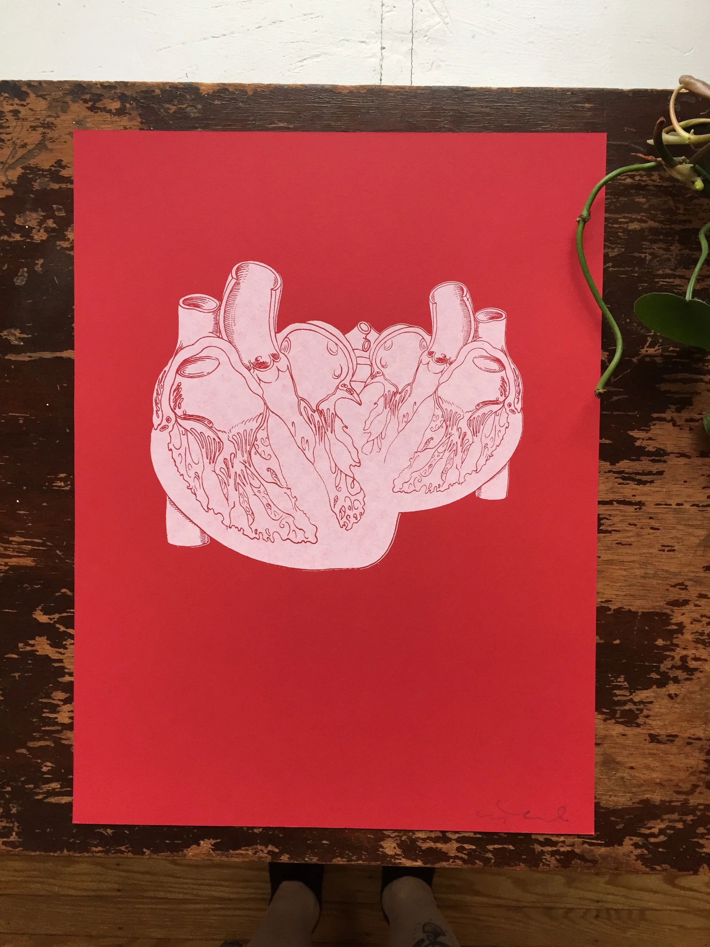 LL_hearts-red_01.JPG
