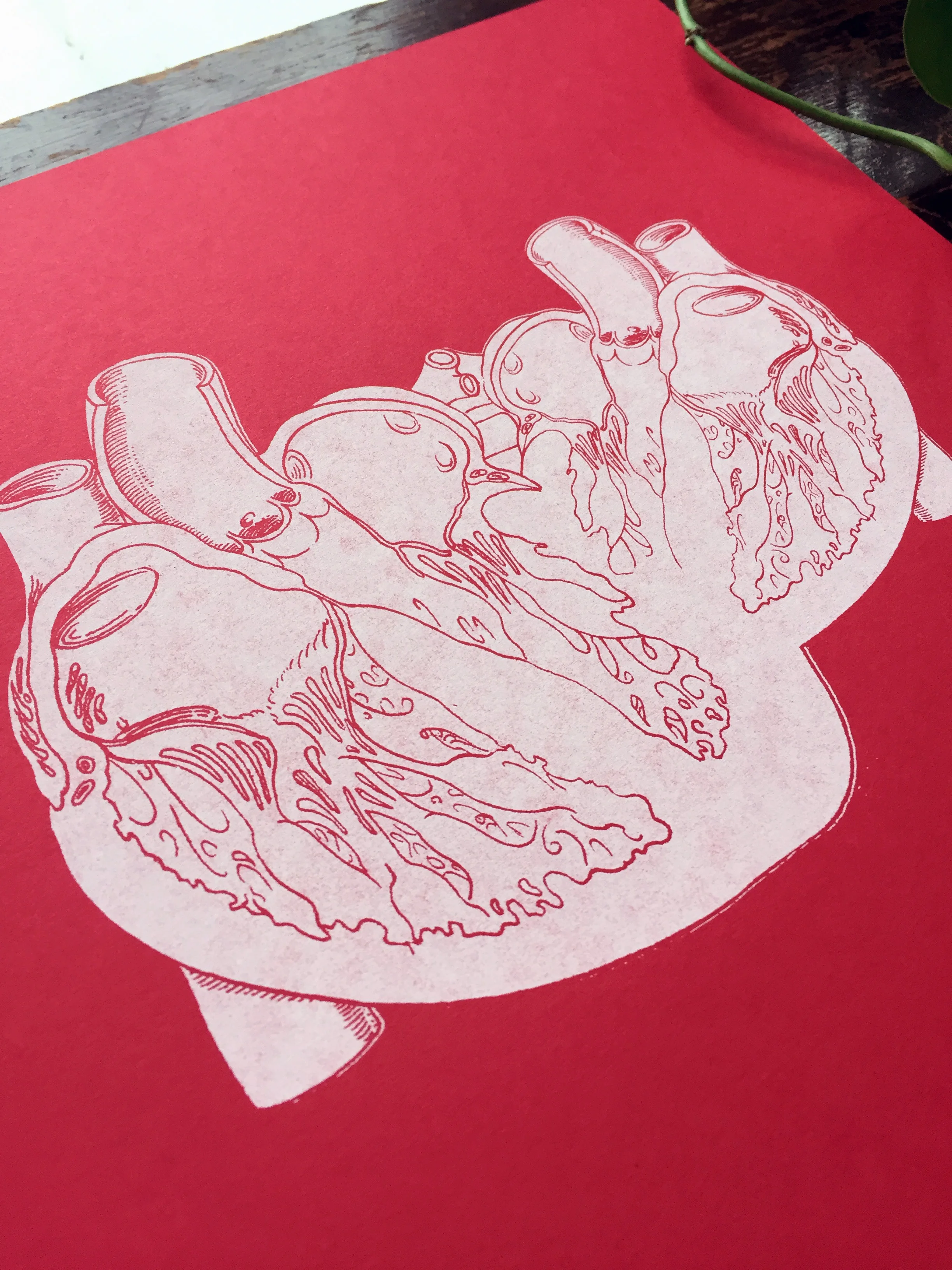 LL_hearts-red_03.JPG