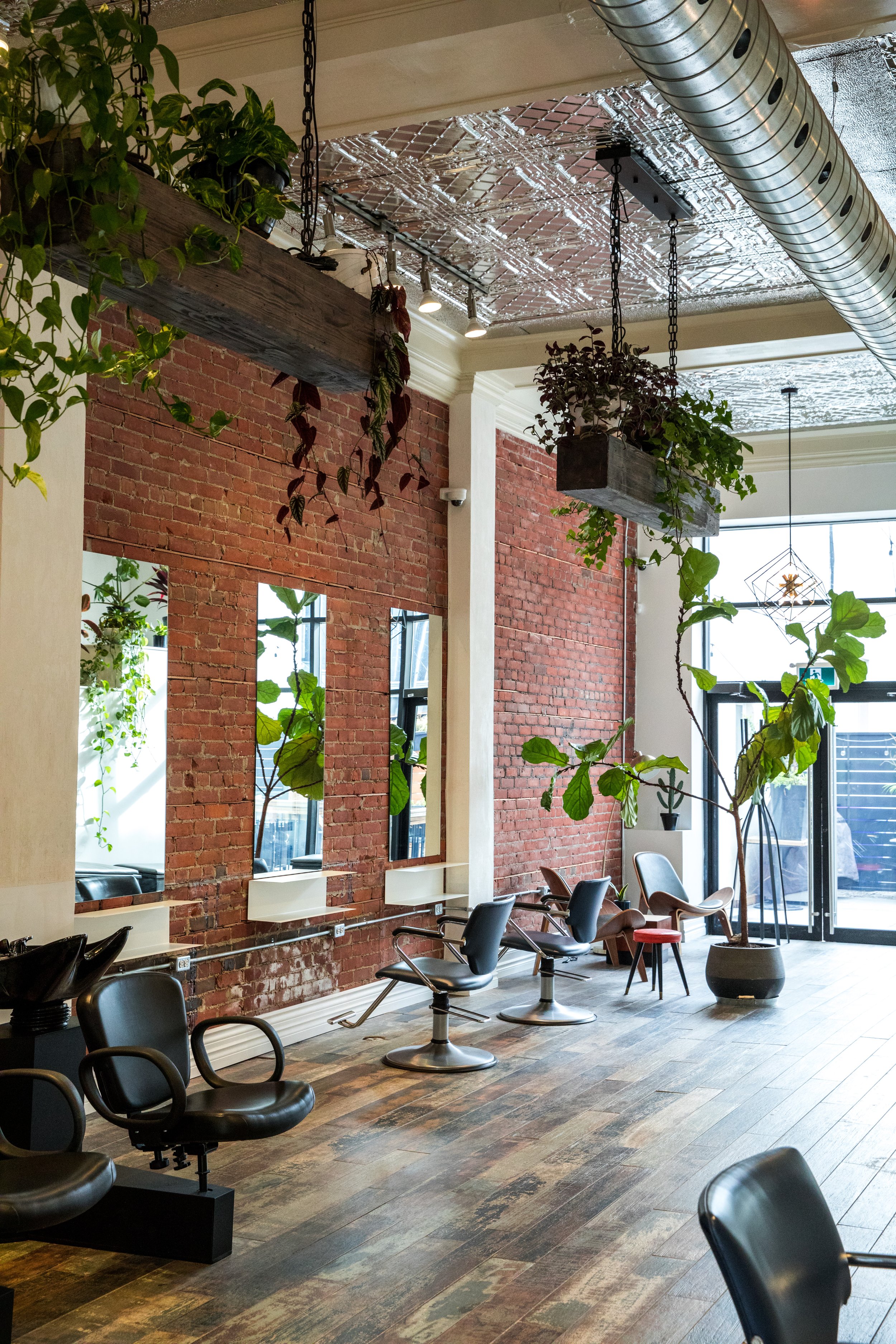 Modern hair salon with high ceilings and plants