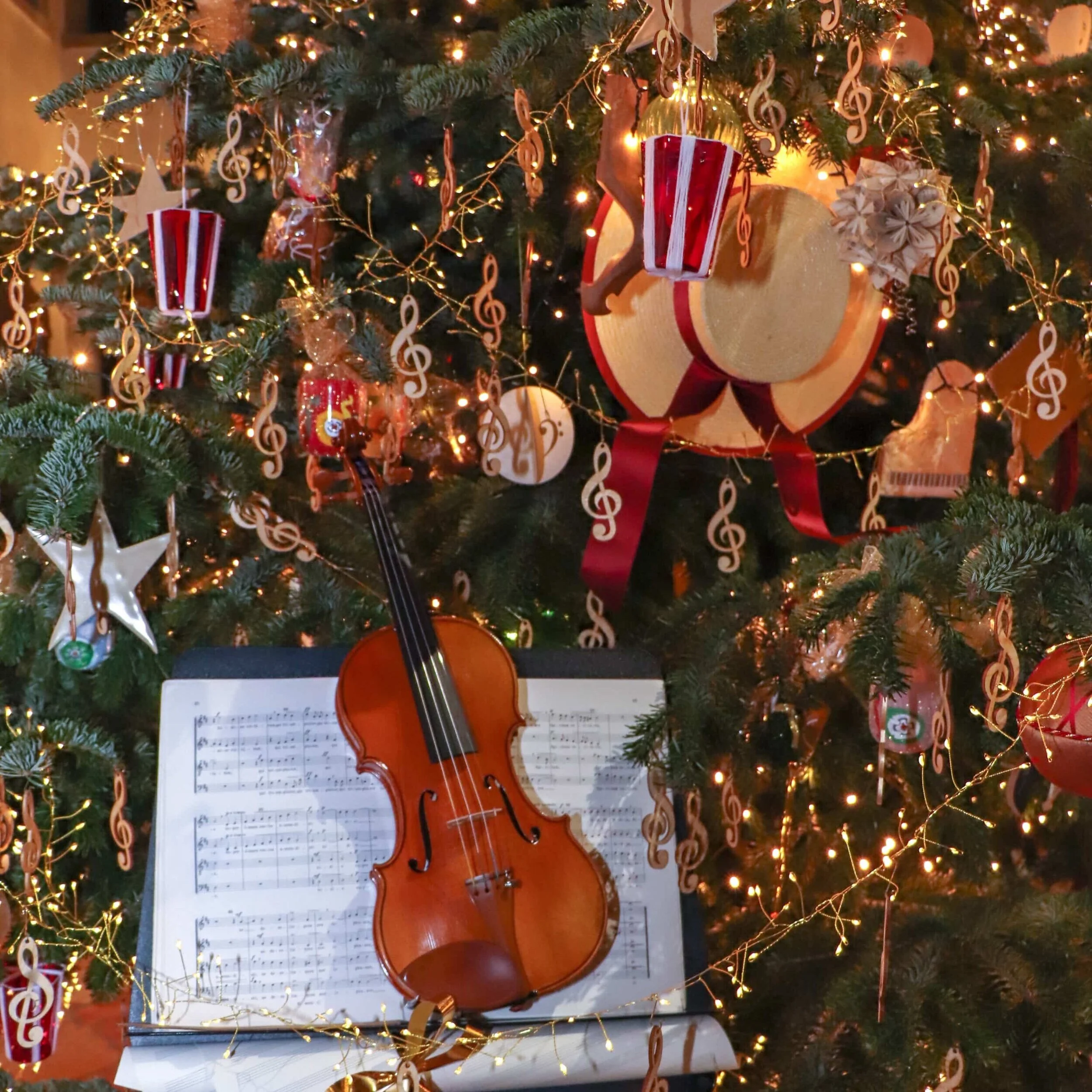  BENEDETTO MARCELLO CONSERVATORY OF MUSIC  VENICE, DECEMBER 2020 