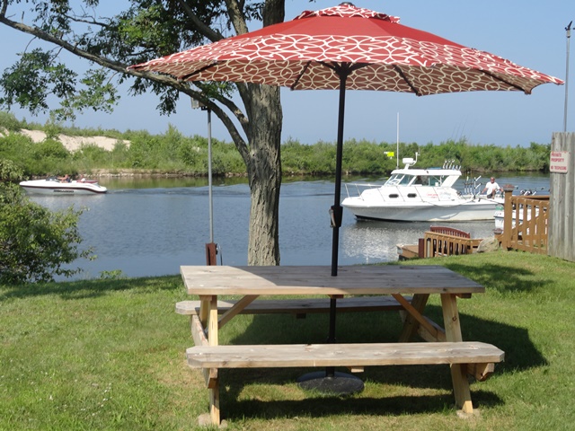 River view from Waterfront Cottage