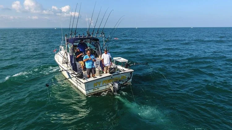 NY Fishtales