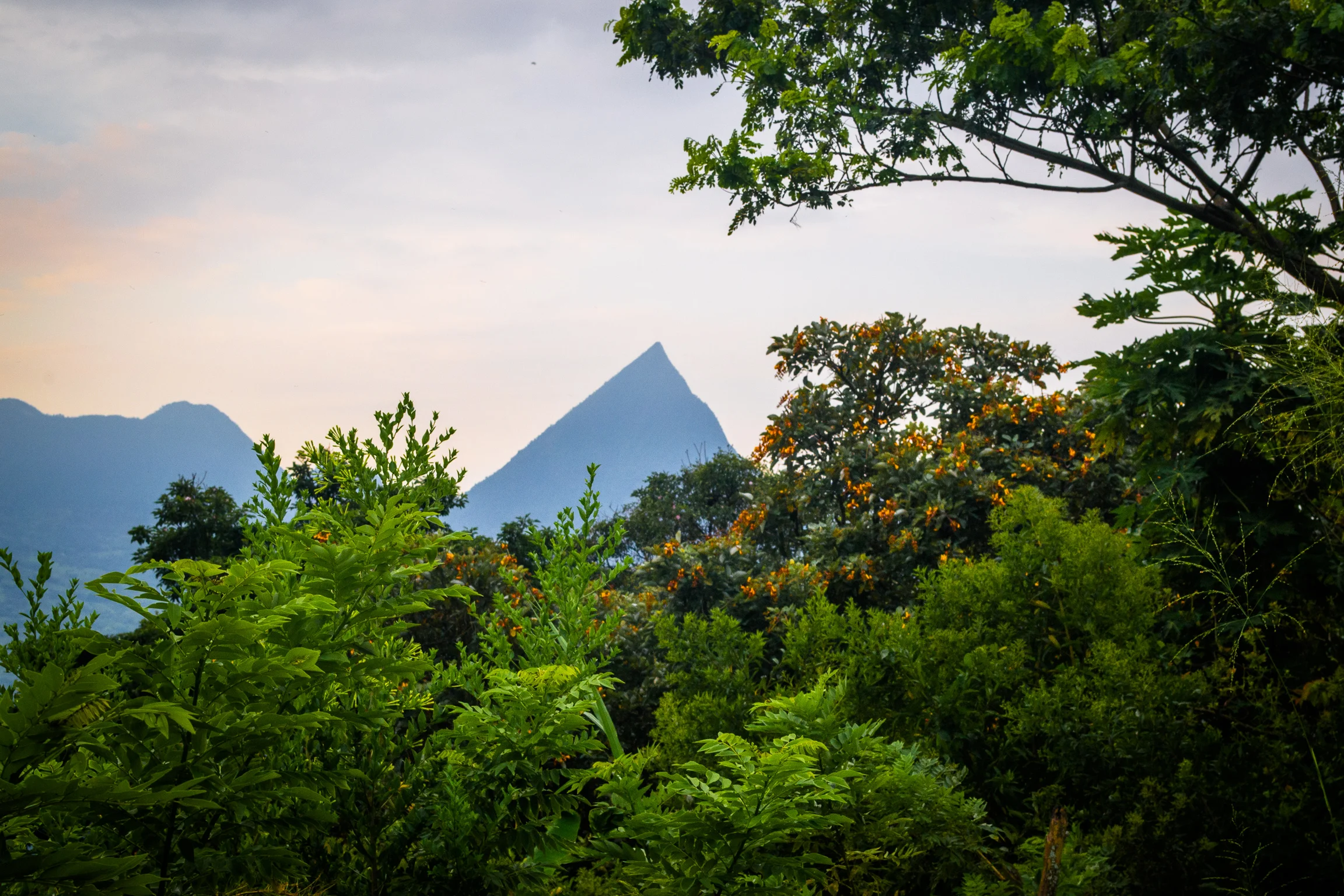 Cerro Tusa, Colombia