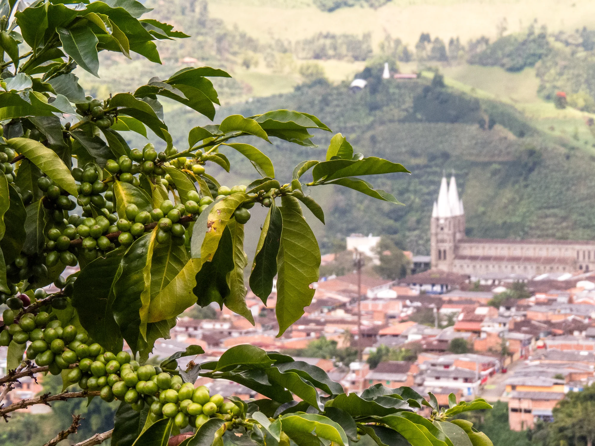 Jardín, Colombia
