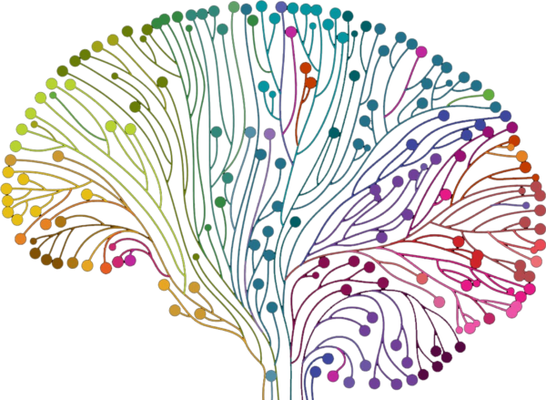 Image adapted from: Shutterstock.com