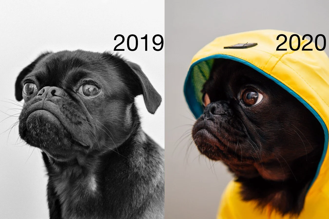 Here’s Exactly How You Can Do Better in 2020 Than You Did in 2019